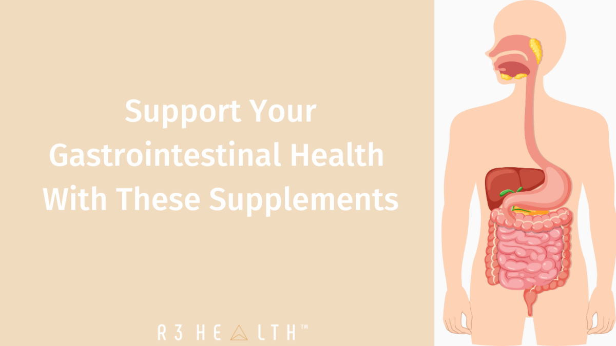 gut health support supplements